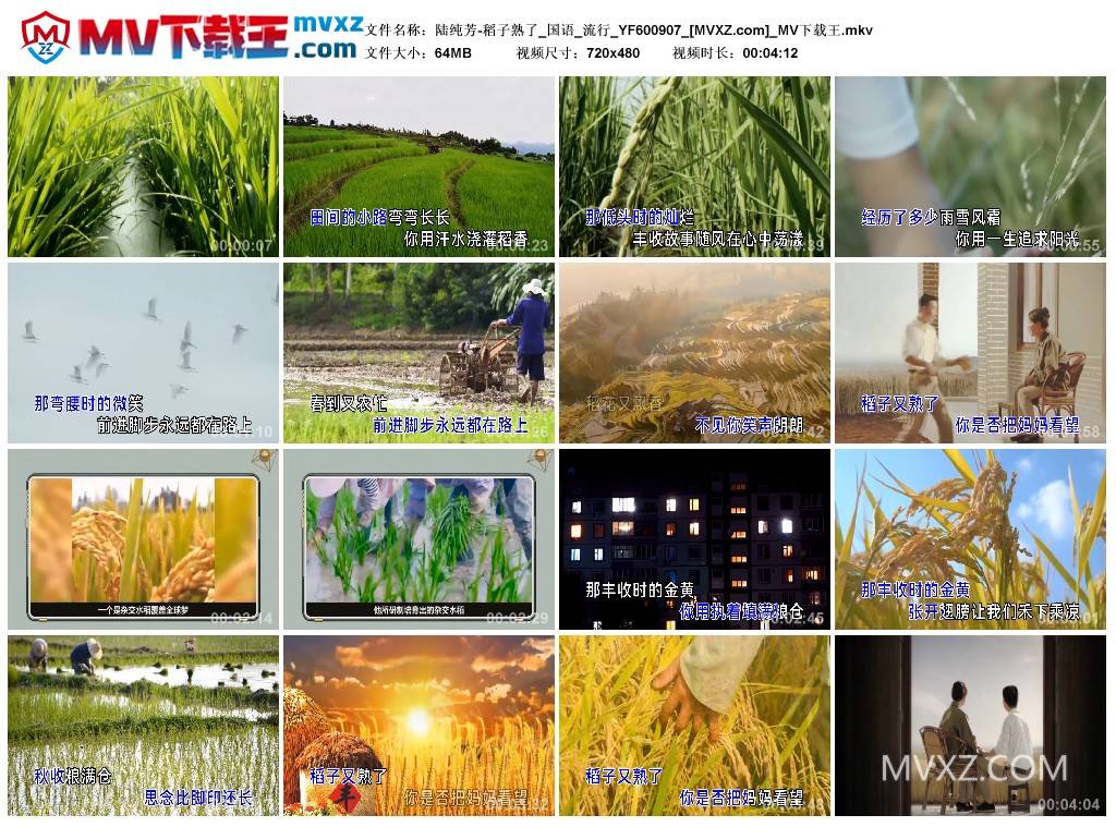 陆纯芳-稻子熟了_国语_流行_YF600907